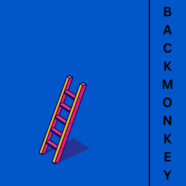 New Release: Nick Braun - Back Monkey